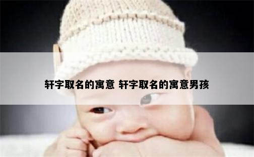 轩字取名的寓意 轩字取名的寓意男孩