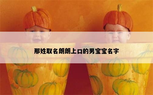 那姓取名朗朗上口的男宝宝名字