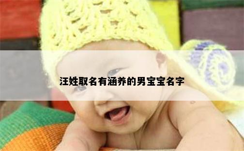 汪姓取名有涵养的男宝宝名字