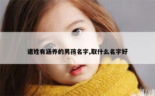 诸姓有涵养的男孩名字,取什么名字好