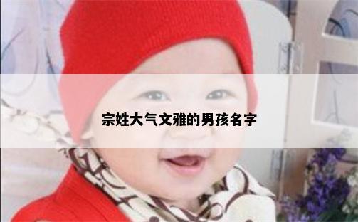 宗姓大气文雅的男孩名字