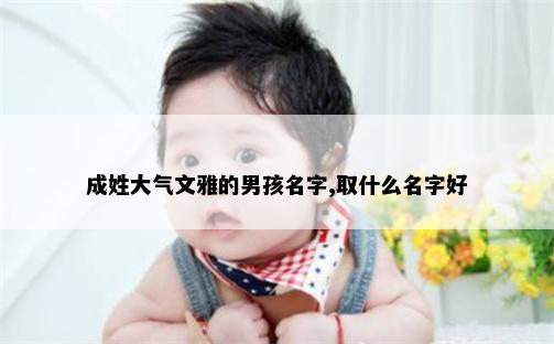 成姓大气文雅的男孩名字,取什么名字好