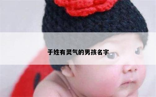 于姓有灵气的男孩名字