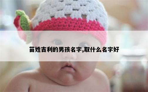 苗姓吉利的男孩名字,取什么名字好