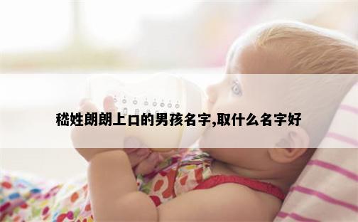 嵇姓朗朗上口的男孩名字,取什么名字好