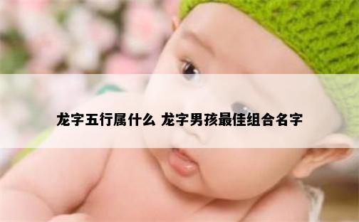 龙字五行属什么 龙字男孩最佳组合名字