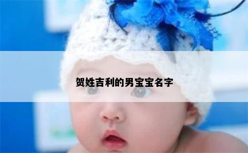 贺姓吉利的男宝宝名字