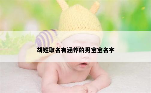 胡姓取名有涵养的男宝宝名字