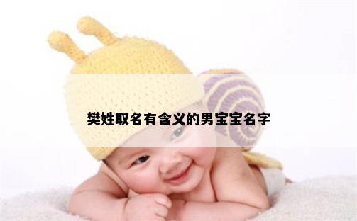 樊姓取名有含义的男宝宝名字