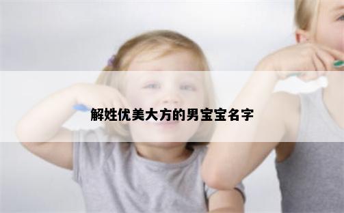 解姓优美大方的男宝宝名字