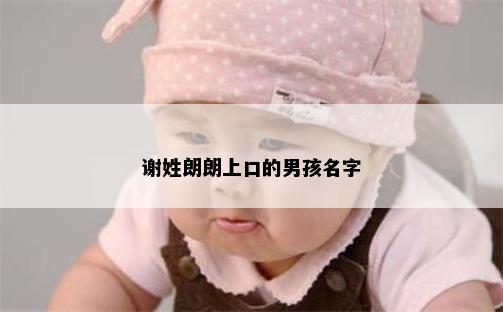 谢姓朗朗上口的男孩名字