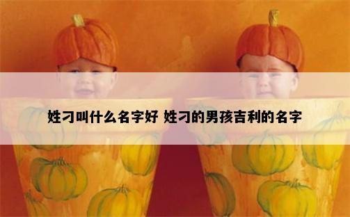 姓刁叫什么名字好 姓刁的男孩吉利的名字