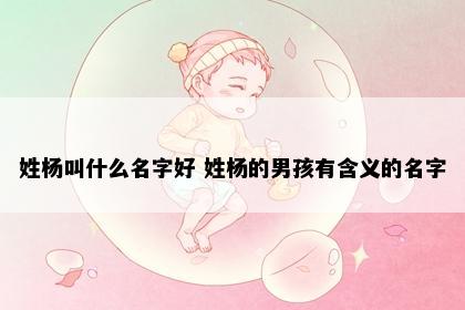 姓杨叫什么名字好 姓杨的男孩有含义的名字