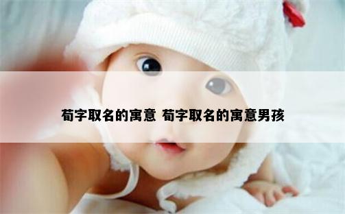 荀字取名的寓意 荀字取名的寓意男孩