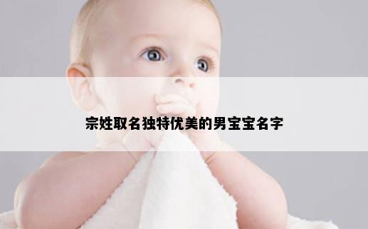 宗姓取名独特优美的男宝宝名字