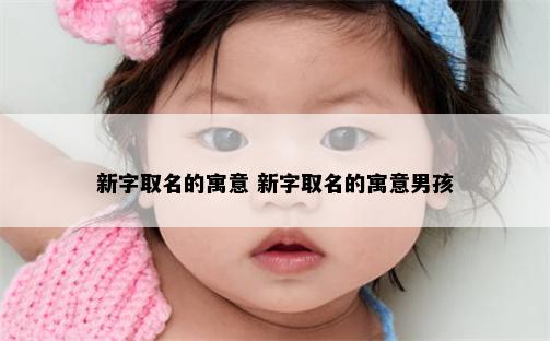 新字取名的寓意 新字取名的寓意男孩