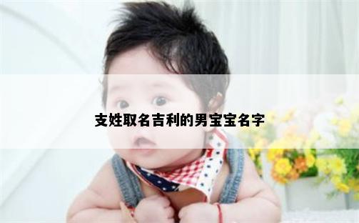 支姓取名吉利的男宝宝名字