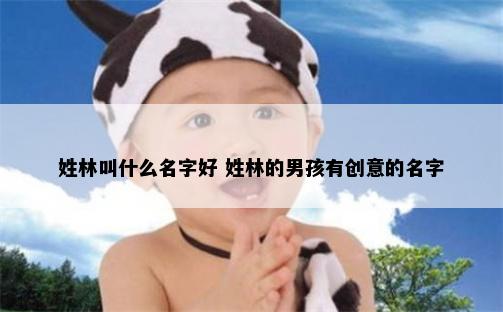 姓林叫什么名字好 姓林的男孩有创意的名字