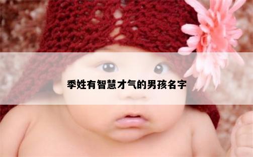 季姓有智慧才气的男孩名字