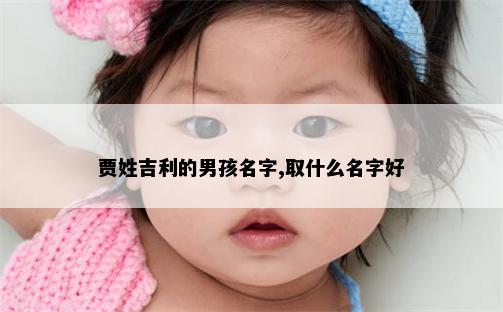 贾姓吉利的男孩名字,取什么名字好