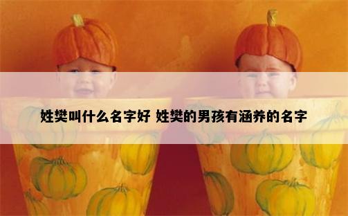 姓樊叫什么名字好 姓樊的男孩有涵养的名字