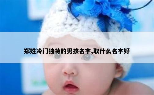 郑姓冷门独特的男孩名字,取什么名字好