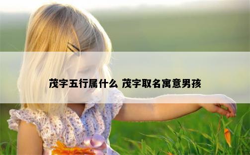 茂字五行属什么 茂字取名寓意男孩