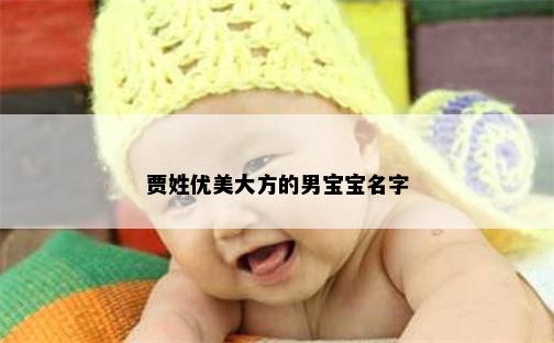 贾姓优美大方的男宝宝名字