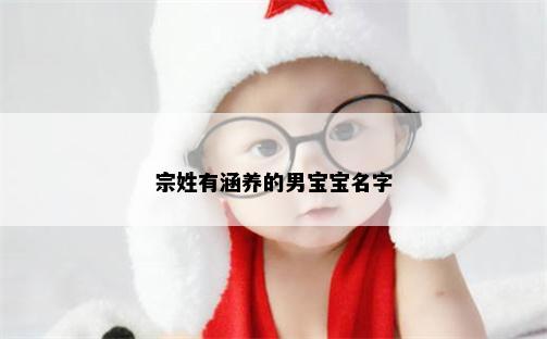 宗姓有涵养的男宝宝名字