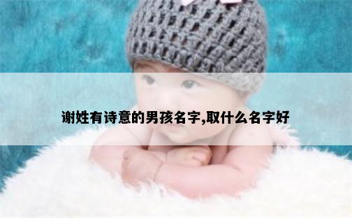 谢姓有诗意的男孩名字,取什么名字好
