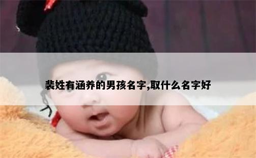 裴姓有涵养的男孩名字,取什么名字好