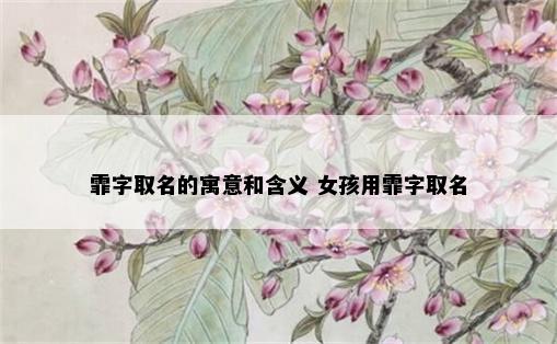 霏字取名的寓意和含义 女孩用霏字取名