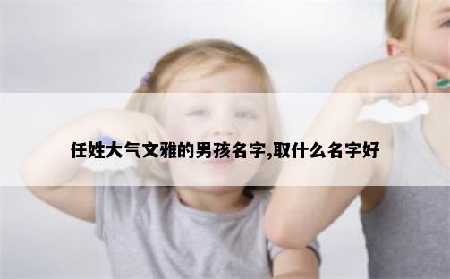 任姓大气文雅的男孩名字,取什么名字好