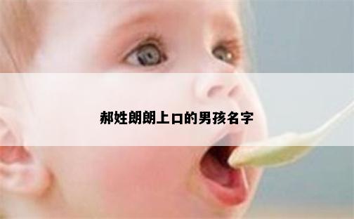 郝姓朗朗上口的男孩名字