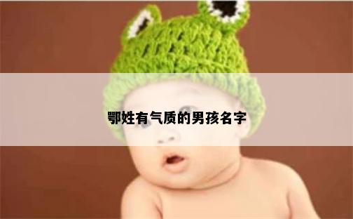 鄂姓有气质的男孩名字