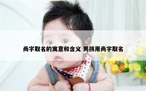 尚字取名的寓意和含义 男孩用尚字取名