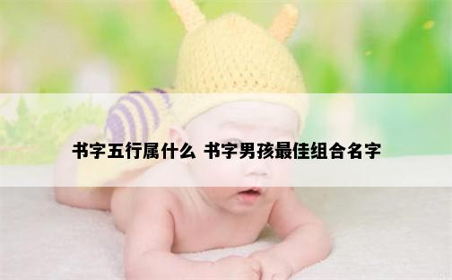 书字五行属什么 书字男孩最佳组合名字