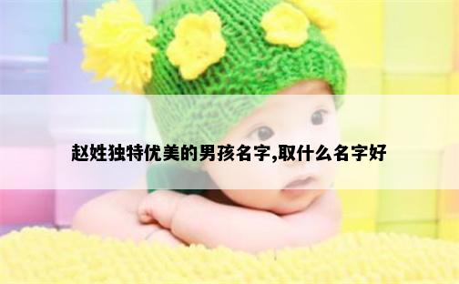 赵姓独特优美的男孩名字,取什么名字好