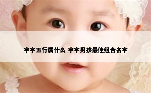 宇字五行属什么 宇字男孩最佳组合名字