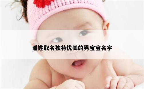 潘姓取名独特优美的男宝宝名字
