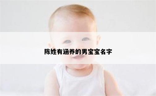 陈姓有涵养的男宝宝名字