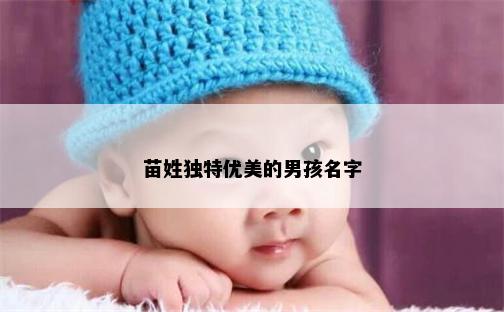 苗姓独特优美的男孩名字