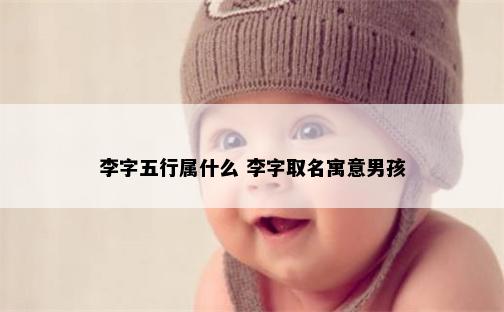李字五行属什么 李字取名寓意男孩