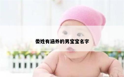 娄姓有涵养的男宝宝名字