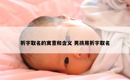 祈字取名的寓意和含义 男孩用祈字取名