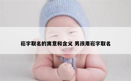 崧字取名的寓意和含义 男孩用崧字取名