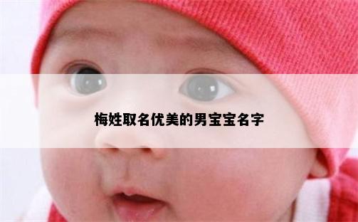 梅姓取名优美的男宝宝名字