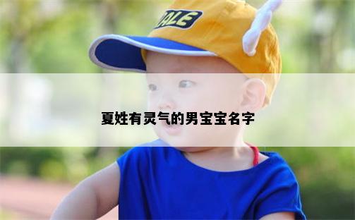 夏姓有灵气的男宝宝名字