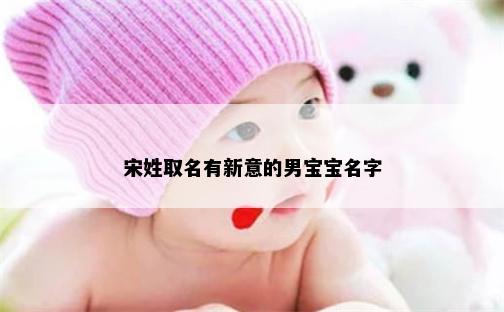 宋姓取名有新意的男宝宝名字