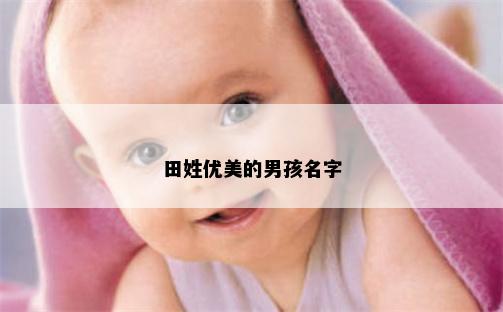 田姓优美的男孩名字